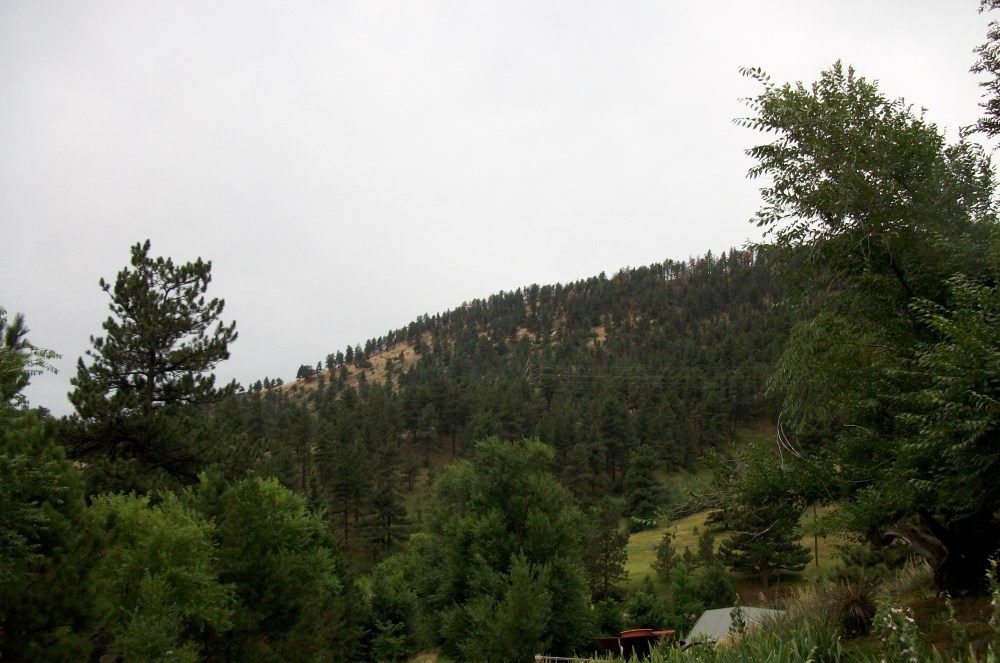 The view from Crystal Springs Brewing