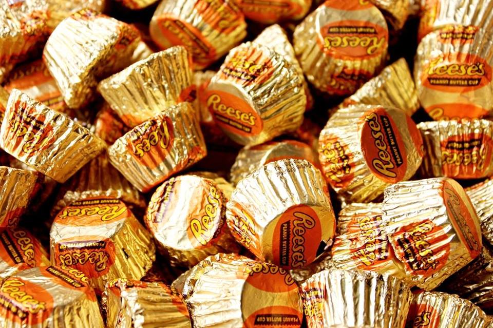 12342403_1131736473522054_3454806697788316491_n